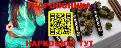 твердый Гатчина