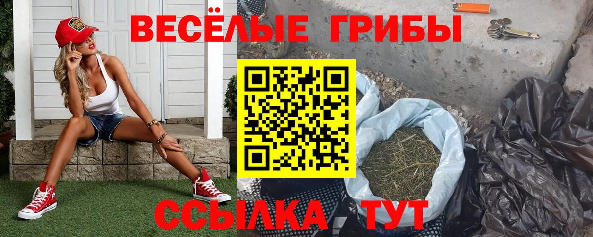 Псилоцибиновые грибы мицелий Боровичи