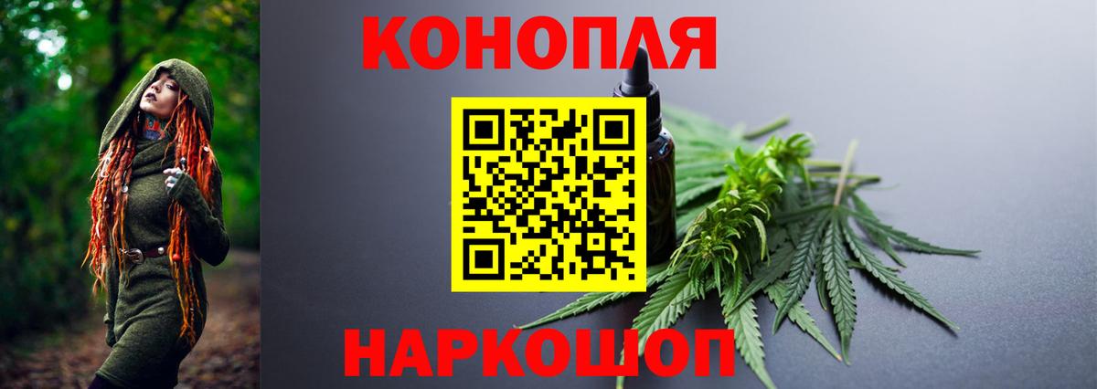 Шишки марихуана планчик  Бошки марихуана планчик  Боровичи  Вход с VPN  Канабис OG Kush 